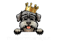Teslux Transportation LLC