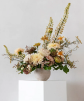 fioredesigns