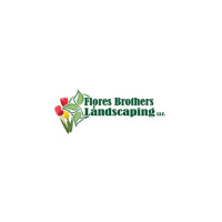 Professional Lawn Care Services in Stonecrest – Lush, Healthy Yards Year-Round