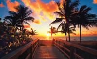Beach Weddings of Fort Lauderdale