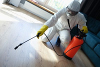 Fort Lauderdale Florida Pest Control