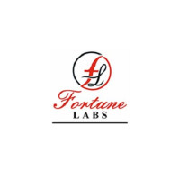 Fortune Labs