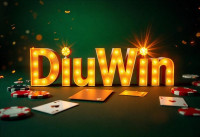 Diuwin – A Strong Digital Identity for Future Growth