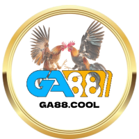 GA88 cool