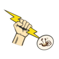 Gam Exterminating Buffalo NY Inc