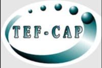 Tef Cap Industries