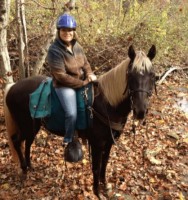 Gaited Horse Market Place