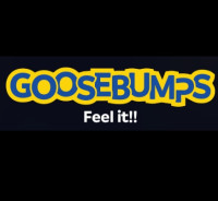 Goosebumps Arena Pune | Bowling, Arcade & Trampoline