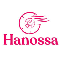 Hanossahair
