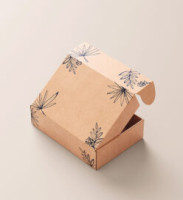 Custom Packaging Boxes In USA