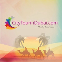 City Tour In Dubai Jet Car Dubai Marina Water Adventure
