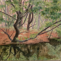 Cynthia Dobie Artist