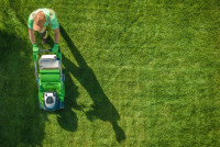 AZ Curb Appeal Landscape Maintenance