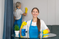 The Best Cleaning