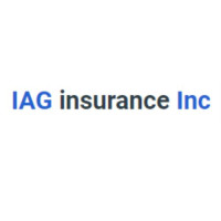 IAG Holdings Inc