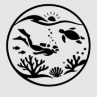 Great Barrier Reef Snorkeling Tours