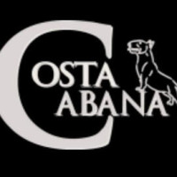 Costa Cabana Bull