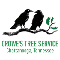 Crowe's Tree Service Experts