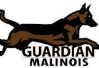 Guardian Malinois