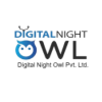 Digital Night Owl Best Website Design Development Company in India.