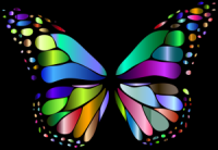 Healed Heart Hypnosis & Intuitive Awakenings