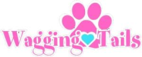 Wagging Tails Animal Daycare & Pet Spa | Cat & Dog Boarding CT