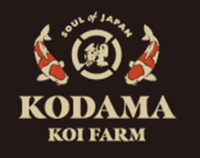 Kodama Koi Farm