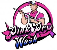 Pink Pro Holiday Lights