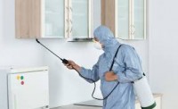 Pest Control Penrith