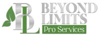 Beyond Limits Pro Services