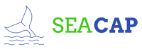 Seacap Solutions
