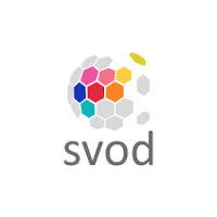 business consultant in usa