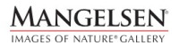 MANGELSEN—Images of Nature Gallery