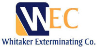 PWS Roof Rats Pest Control Exterminator