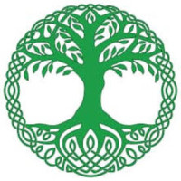 Stellar Tree Services