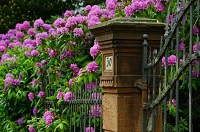 Joe's Fencing & Gates Irvine