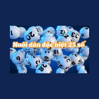 Nuôi Dàn Đề 25 Số Khung 2 Ngày Chính Xác An Toàn
