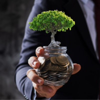 Gold Investment Authority