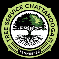 Common Ground Tree Service