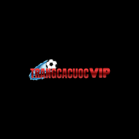 Trang Cá Cược – Nền Tảng Thông Tin Cá Cược Và Thể Thao Trực Tuyến
