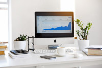 Professional SEO Trainer in Jodhpur