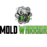 Mold Warrior Atlanta