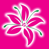 St. Maarten Flowers is an online flower order & delivery service..