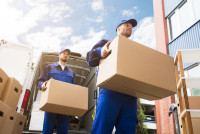 international moving companies NYC