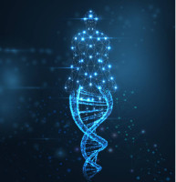 Transform Your AI Content with AIHumanizer.us: The Ultimate AI Humanization Tool