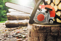 Bowdoin Boys Tree Service LLC