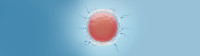 IVF Centre in Patna