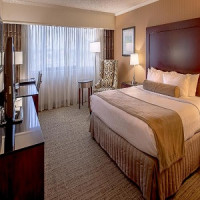 NameCrowne Plaza Hotel St. Louis Airport an IHG Hotel