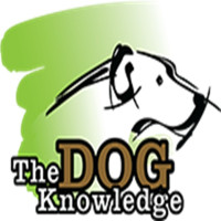 The Dog Knowledge