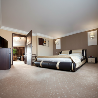 M Hotel Sosnowiec